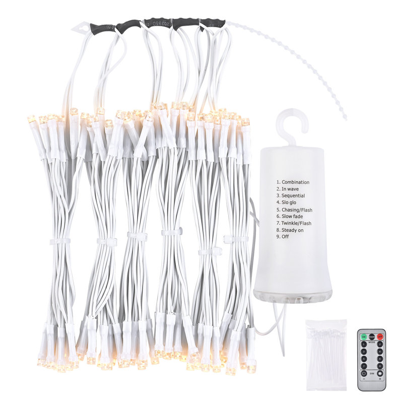 Guirlande de lumières à DEL Sehgal, L 103,9 po