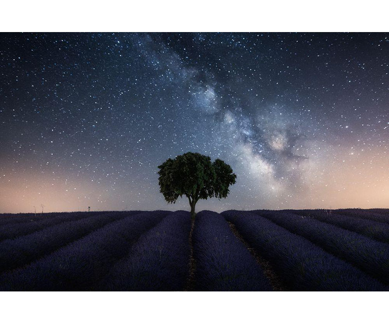 Hokku Designs, Ruiz Dueso, art sur toile tendue de la galerie Jorge, «Tree and Milky Way», H 17 po x l 24 po