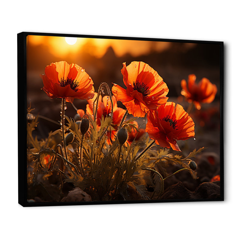 Coucher de soleil coquelicots dans la prairie, Cadre flottant noir, H 24 po x l 32 po