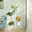 Anka Plant Stand-1754794749