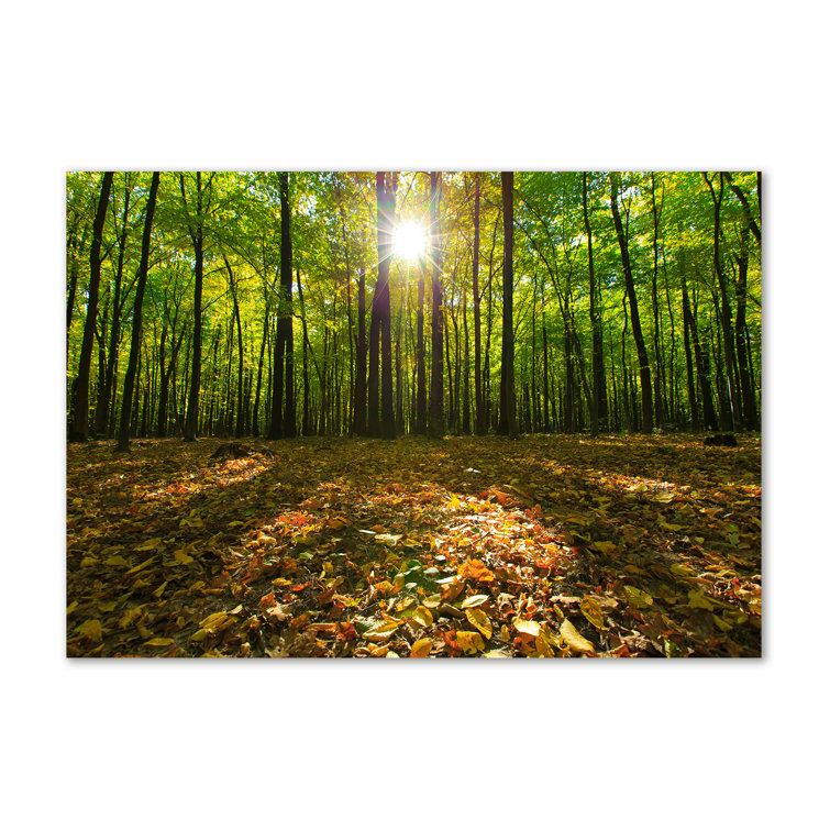 Union Rustic Forest - Wrapped Canvas Art Prints | Wayfair.co.uk