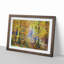 Forest in the Fall - Picture Frame Graphic Art Print-55723353-55723352