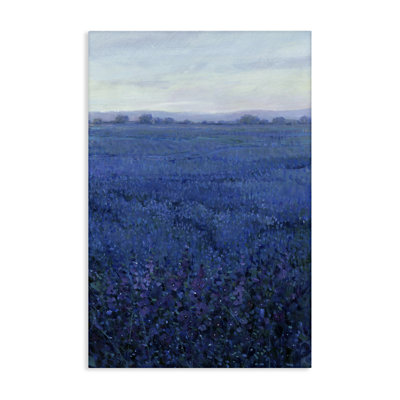 «Vast Blue Fields View», art mural par Tim Ottoole