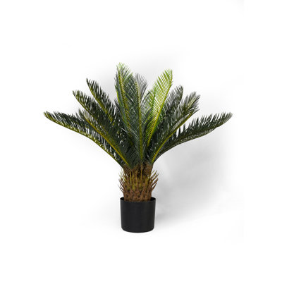 Plante de palmier en pot 23 po