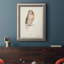 Tawny Owl - reproduction de cadre photo sur toile-1567026882