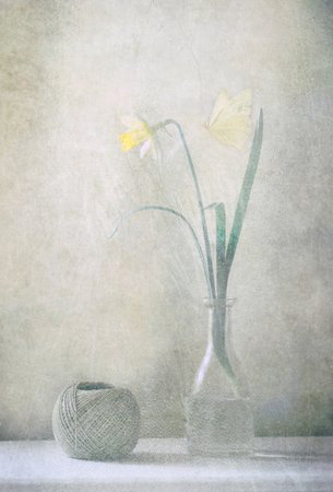 Wrapped Canvas Print, 50.8 cm H x 76.2 cm W