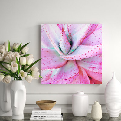 Aloès rose - photographie sur acrylique carré