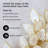 Handcrafted Mixed Assortment Shell / Capiz 19'' Wreath
