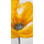 Beautiful Yellow Flower Print On Canvas-98694078