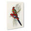 Pennants Parakeets by Elizabeth Gould - Wrapped Canvas-55366516