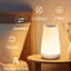 Night Light, Led Touch Bedside Table Lamp, 13 Rgb Colours Changing, 5 Brightness Level Switch, Timing Function, Rechargable Remote Control Dimmable Light For Bedroom, Living Room-342491707