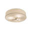 4 - Light Semi Flush Mount