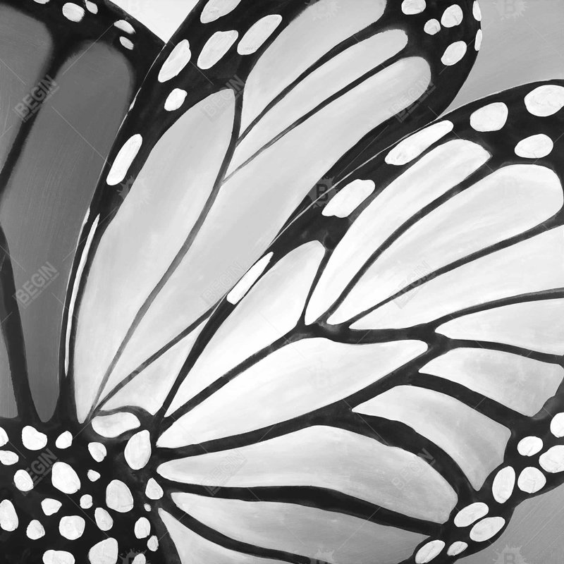 Monarch wings closeup - 18"x18" Throw pillow cover - Poly twill - Print on demand