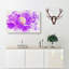 Jellyfish - Wrapped Canvas-56655995