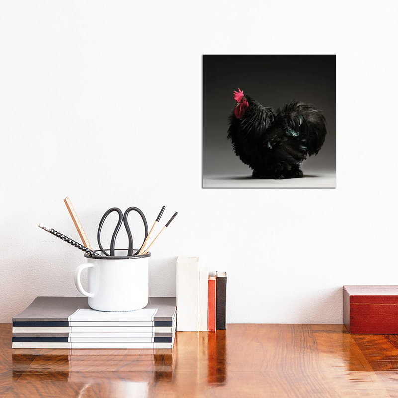 Frizzle Cochin Bantam - Wrapped Canvas Print, 30.48 cm H x 30.48 cm W