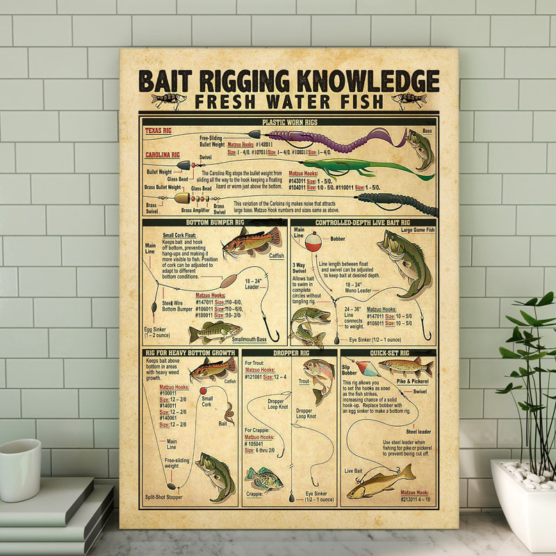 Toile tendue Bait Rigging, H 20 po x l 16 po x P 2 po