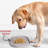 Anti-Skid Placemat-97567039