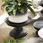 Alely Solid Wood Decorative Tray-1094609892-1094609894