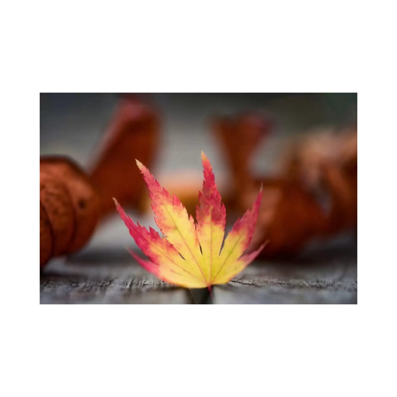 Featured Maple Leaf - Wrapped Canvas Print, 66.04 cm H x 45.72 cm W x 1.91 cm D