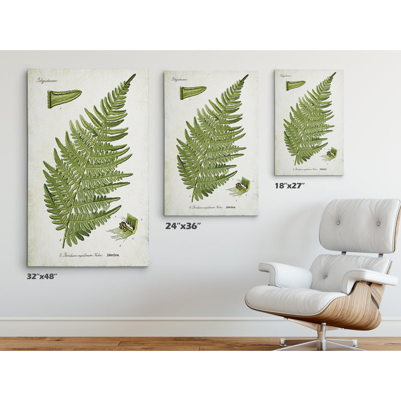 «Botanical Plate XXII», reproduction d'impression sur toile tendue, H 24 po x l 36 po x P 1,5 po