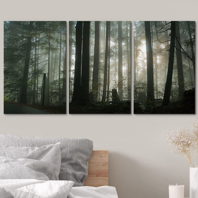 «Foggy Forest», ensemble de 3 impressions sur toile tendue