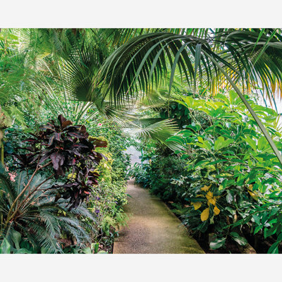  Leafy Lane Matt Smooth Paste the Wall Mural 300cm wide x 240cm high