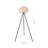 1 Light Black Floor Lamp with A White Goose Feather Ball