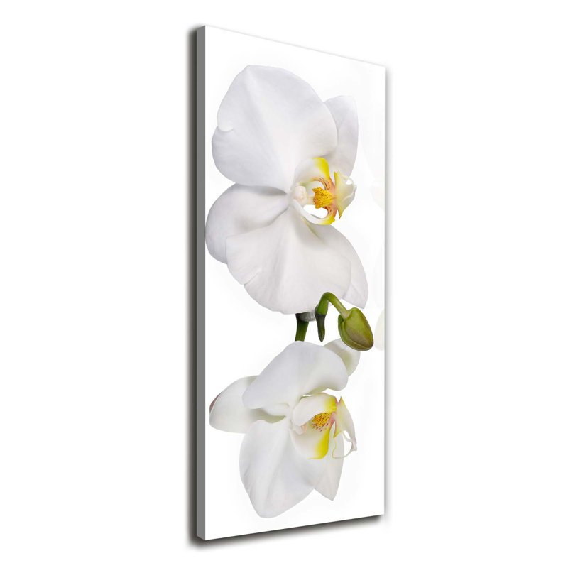 White Orchid - Wrapped Canvas Print, 125cm H x 50cm W