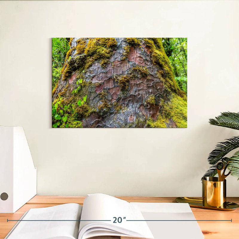 Mossy Kauri Tree, 8" H x 12" W