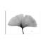 Inverted Ginko I by Albert Koetsier - Wrapped Canvas Gallery-Wrapped Canvas Giclée-1290414806-1309648970