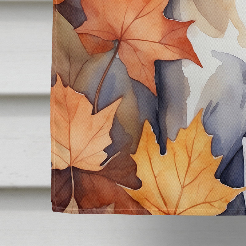 Chat en feuilles d'automne, Oriental Shorthair