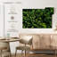 Alvord Lush Green Woodland-108725719