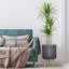 Ribbed Cylinder Planter with Feet-1753896809-1753896808