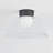 LAKESIDE Flush Mount-109178354