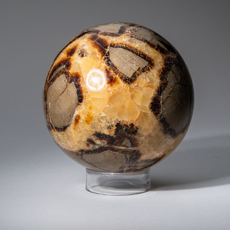Genuine Polished Septarian (2") Sphere from Madagascar, 3.5" H x 3.5" W x 3.5" D, Brown/Gray/White