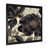 Cadre photo noir