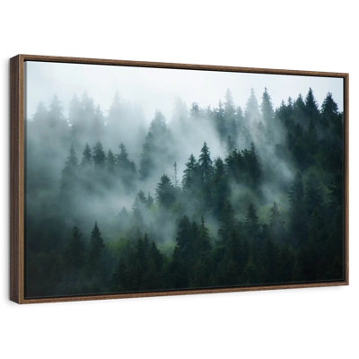 Forêt de sapins brumeux