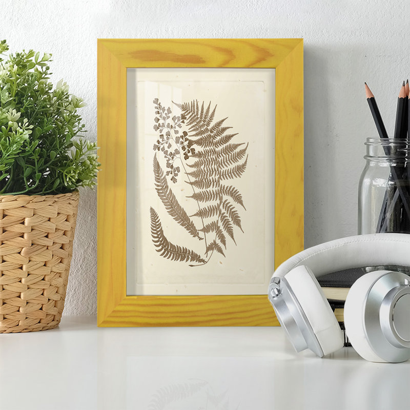 Meggan Sepia Ferns III, reproduction d'art encadrée, L 4 po x H 6 po x P 1 po, Jaune