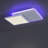 Flush Mounted Ceiling Light