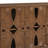 Versatile Mid Century Modern Storage Cabinet for All Rooms, Enhancing Organization and Aesthetics.-1988931584