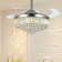 Jannemie 42'' Ceiling Fan with LED Lights
