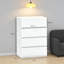 Chest of Drawers, 4-Drawer Storage Cabinets-2121220942