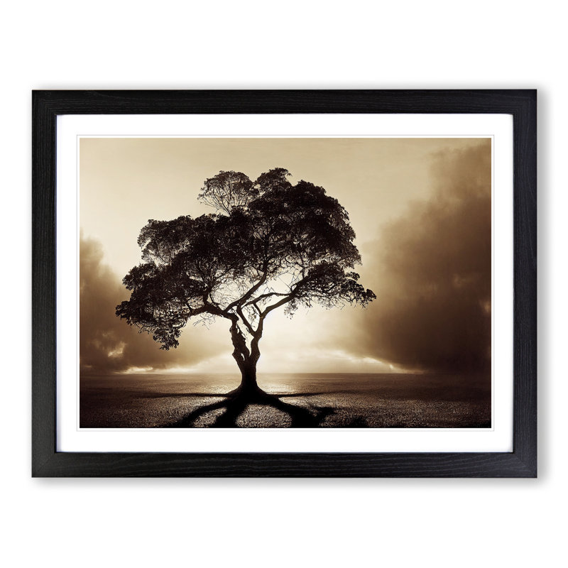 Otherworldly Tree - Framed Print, 46cm H x 64cm W x 2cm D, Black
