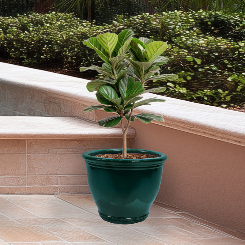 Berlina Round Imperial Ceramic Outdoor Planter, 15" H x 18.5" W x 18.5" D, Dark Green