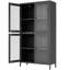 Armoire en métal avec verre trempé gaufré pour le salon - noir Matériau de la tablette latérale à 4 tablettes