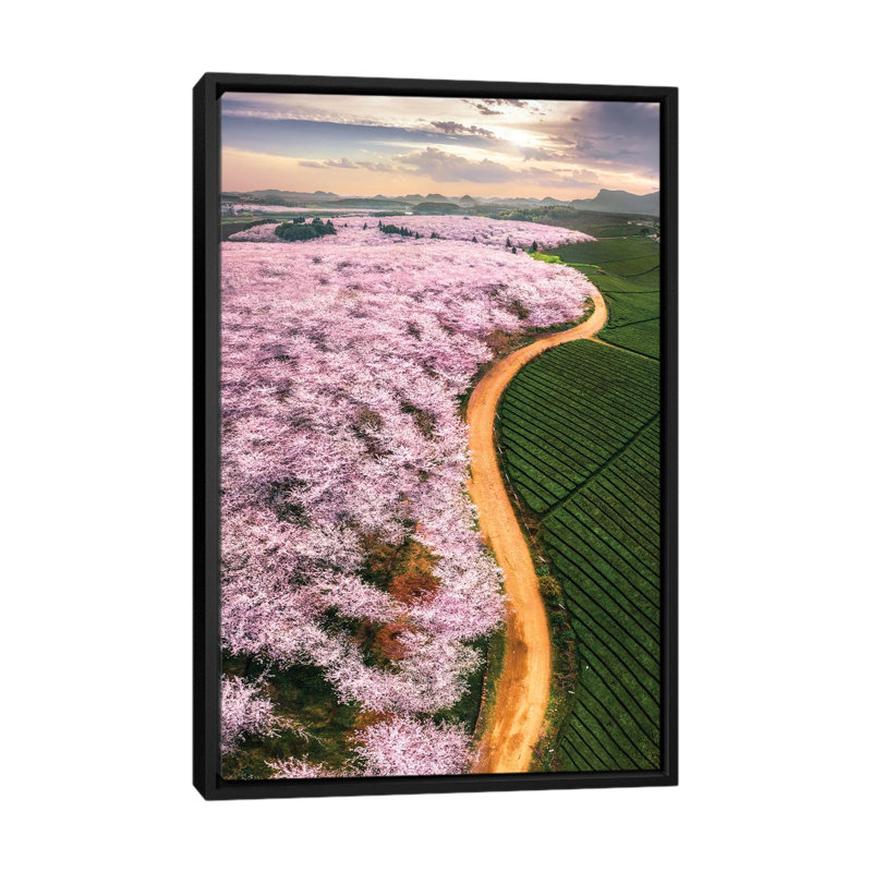 Cherry Blossoms by Tianqi - Floater Frame Print on Canvas, Black Framed, 101.6 cm H x 66.04 cm W