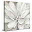 «Simply Soft (Square)» par Carol Robinson, reproduction-1385413802-1385413801