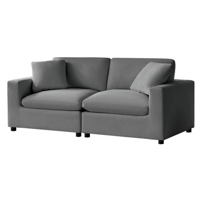Caylie Modular  2-Piece Sofa - Charcoal