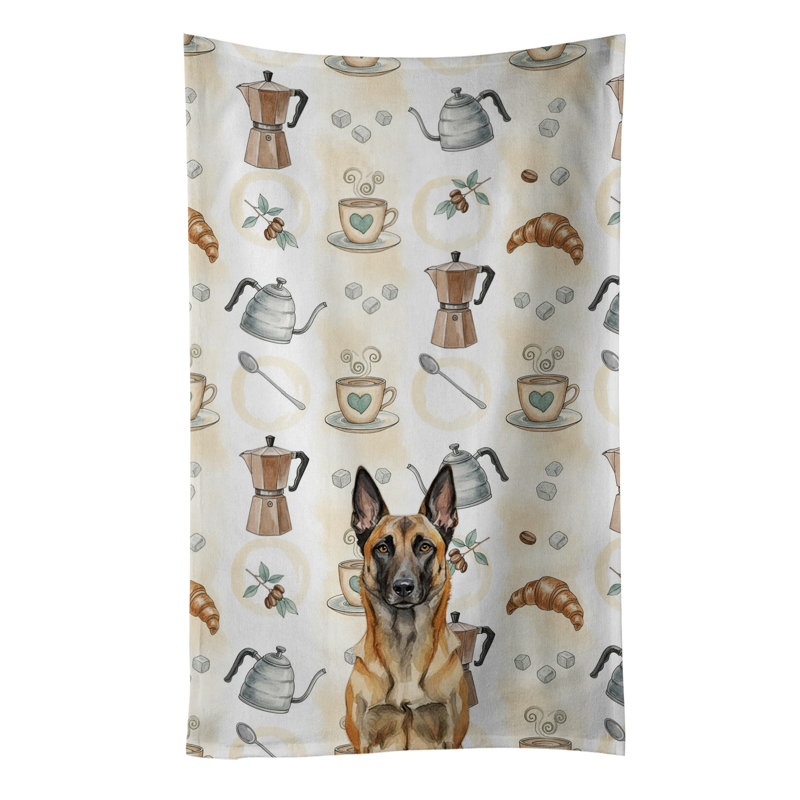 Torchon belge Malinois, Malinois belge