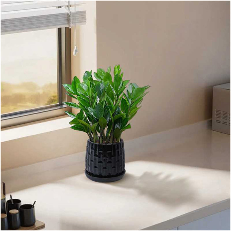 Handmade Ceramic Flower Pot With Groove Pattern, 6 & 8 Inch Diameter, Black Color For Orchids, Indoor/Outdoor Use On Windowsill & Bookshelf, Breathable Clay With Saucer